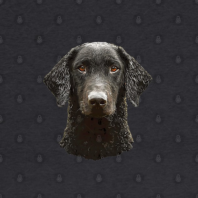 Curly Coated Retriever by ElegantCat